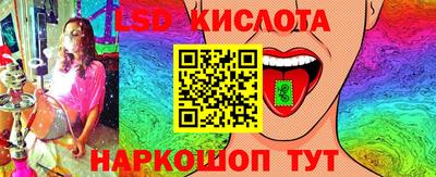 спайс Берёзовский