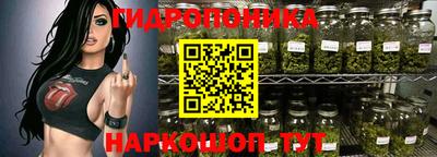 крисы Бийск