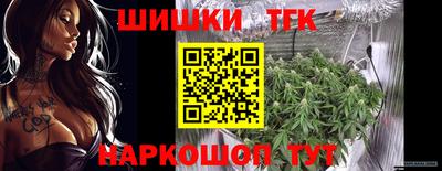 крисы Бийск