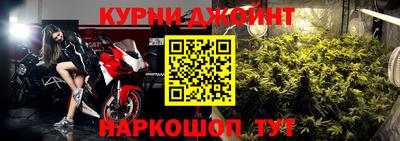 крисы Бийск