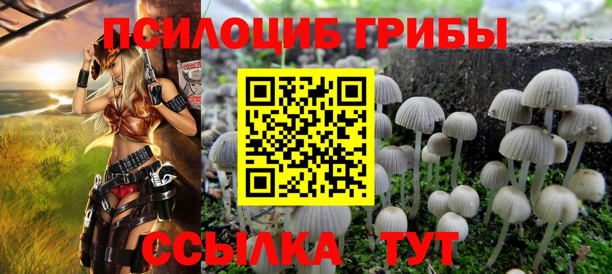 Псилоцибиновые грибы Magic Shrooms  Вход с VPN  как найти   Кировск 